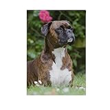 Hokkien Dog Portrait Brown Boxer Garden Flag Banner 12 x 18 Inch Decorative Garden Flag for Outdoor