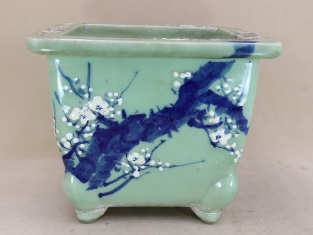 Amazon | 【盆栽鉢】 時代鉢 古瀬戸 梅花紋 青磁正方鉢（一辺27.5cm 