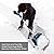 Cordless Electric Snow Shovel - 21V Carbon Steel Snow Blower for Driveway Patio with Battery & Charger (US Plug)