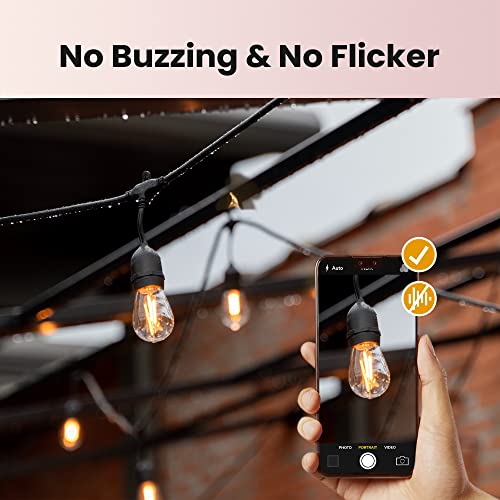 Alampever 24-Pack Colored Led String Light Bulbs - Shatterproof & Waterproof, Vintage Style - Red, Green, Blue, Warm White - 1W Outdoor Bulbs With E26 Medium Base And Cri80 #TOP4