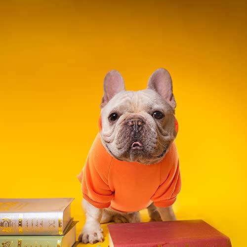 XiXiRan Hunde Hoodie: Baumwolle Hundemantel, Haustier Hund Warm, Mit Kapuze, Katze Kleidung, Winter (XXL, Orange)