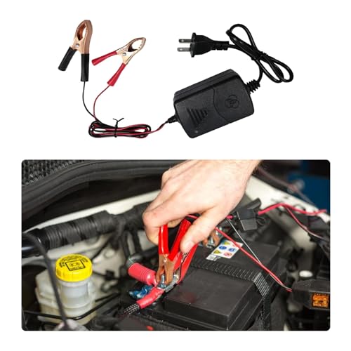 Dickno Car Battery Charger, 12V Multipurpose Lead Acid Automotive Charger with Crocodile Clip and Power Indicator, Smart Vehicle Battery Charger for Car, Motorcycle, Boat and More
