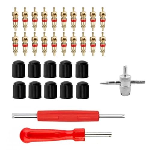 JUGUTA Reparación De Válvulas De Neumáticos Con Núcleo De Válvula Doble E Individual, 1 Herramienta De Núcleo De Válvula De 4 Vías, 10 Tapas De Válvula De Neumáticos, 20 Núcleos De Válvula
