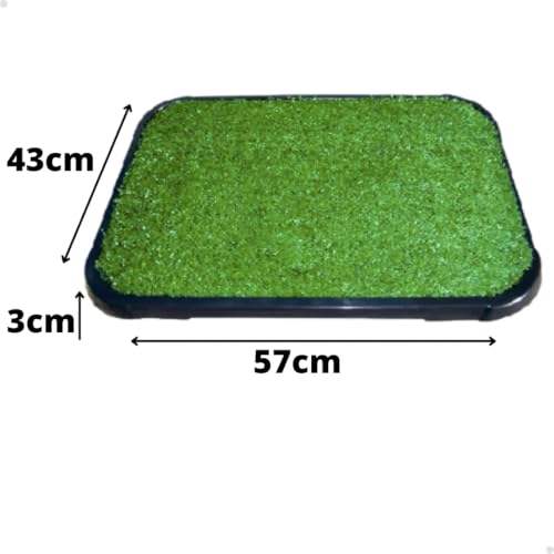 Sanitário para Cachorros 57x43cm – Grama Sintética Lavável e removível