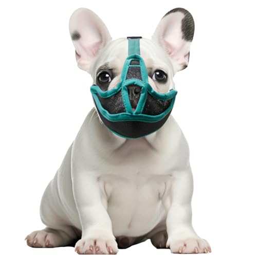 Museruola corta per cani, bulldog francese, traspirante, regolabile, maschera in rete per cani dalla faccia piatta, museruola in rete per shih tzu, carlino, bulldog inglese, maschera per cani anti