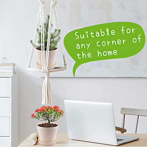 ConpConp Kruid Tuinieren Kits, Bonsai Tree KIT, Starter Grow Plant Kit, Sets Inclusief 4 Verdikte pp Bloempot met… - Afbeelding 7