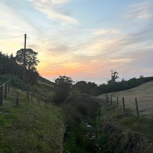 Sound Escape 240. Wind down to the evening song of a rural farm Podcast Por arte de portada