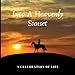 Produktbild Into A Heavenly Sunset (A Celebration of Life): Guest Book for Funeral and Memorial Services, 300 Guests, Horseback rider at sunset (8.25 x 8.25)