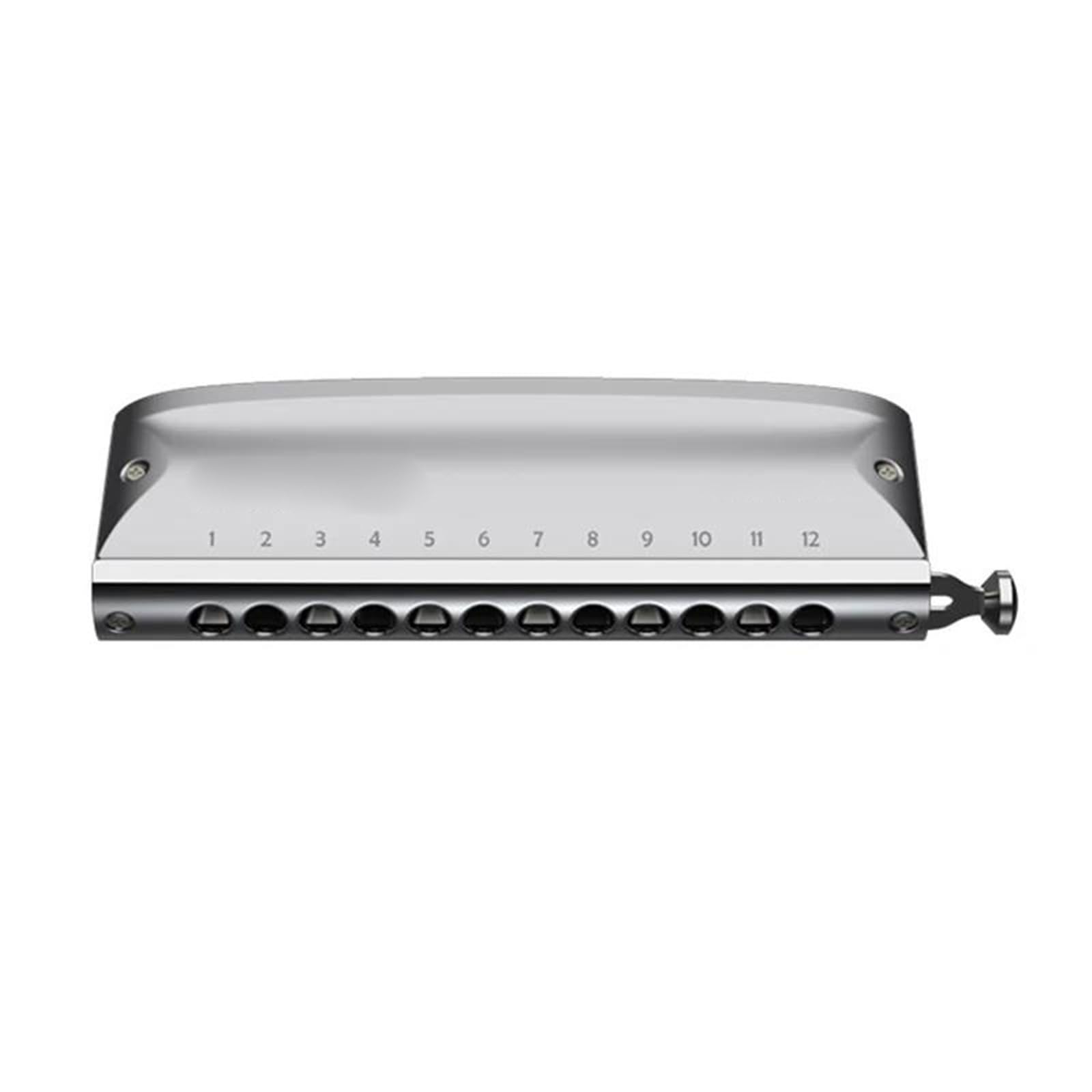 armonica a bocca Armonica Cromatica Arpa A 12 Fori Piastra Di Copertura In Acciaio Inossidabile Organetto A Bocca Strumenti Musicali Professionali