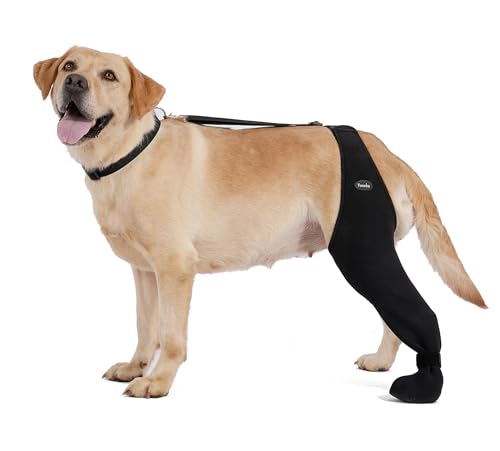 Dog Socks to Prevent Licking Paws ,Breathable Leg Sleeve to Stop Licking and Biting, Firm and Secure Adjustable Size Dog Recovery Sleeve Socks (L-Left)