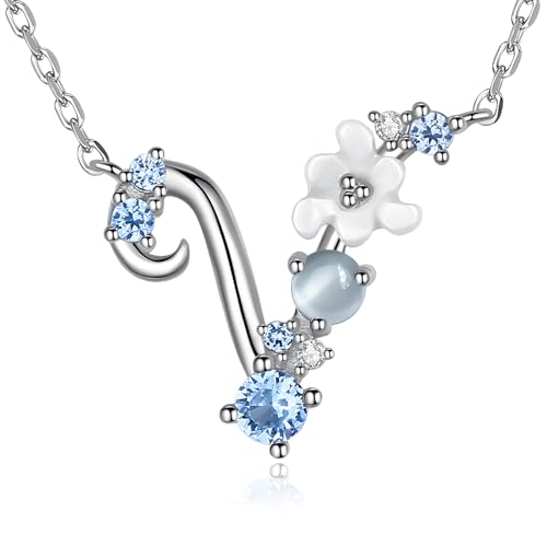 VIKI LYNN Damen Initiale Halskette Buchstabe V Alphabet Anhänger Schmuck 925 Sterling Silber und Zirkonia Anfangsbuchstaben Personalisierte Geschenke für Mädchen Frauen VIKI LYNN Damen Initiale Halskette Buchstabe V Alphabet Anhänger Schmuck 925 Sterling Silber und Zirkonia Anfangsbuchstaben Personalisierte Geschenke für Mädchen Frauen