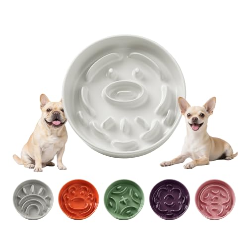 Ciotola Anti Ingozzamento Cani in Ceramica - Ciotola Labirinto per Alimentazione Lenta - Scodella Anti Vomito per Cani Piccoli - 80 g - 16 cm - Bianco