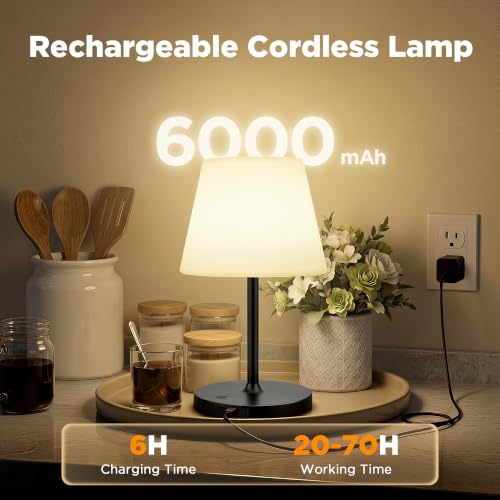 Image of 2 Pack Shower Lamp Waterproof, 6000mAh & 3 Color Temps and Stepless Dimming