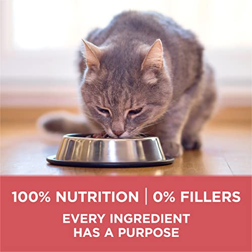 Purina ONE Indoor Advantage Weight Control Cat Food, Salmon, 7 lb Bag - image 7