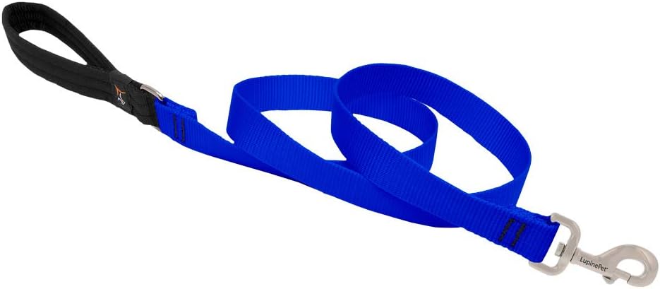 blue leash