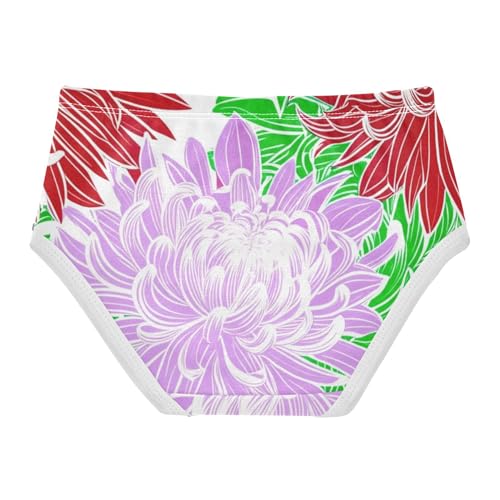 Toddler Girls Underwear 2t Cotton Cute Panties Girl Artistic Briefs Underpants Red Purple Chrysanthemum Flowers2
