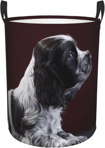 Ɣ̃RbJ[XpjG h[oXPbg zGݎ[{bNX M