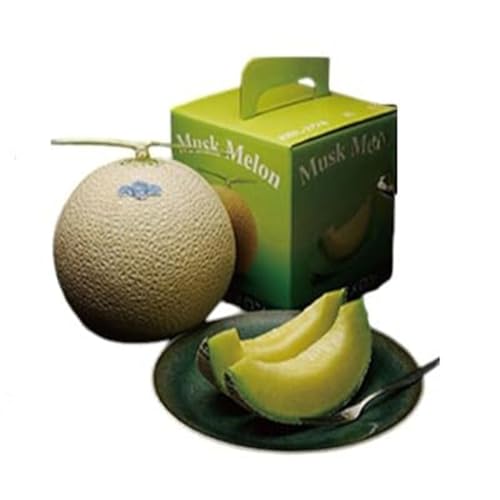 クラウンメロン 名人メロン 1玉入 マスクメロン 静岡県 袋井市産 果実の王様 果物