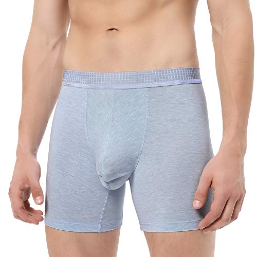 Separatec Men's 3 Pack Micro Modal Viscose Separate Pouches Comfort Fit Boxer Briefs(L,Light Blue/Dark Gray/Light Gray Stripe)2