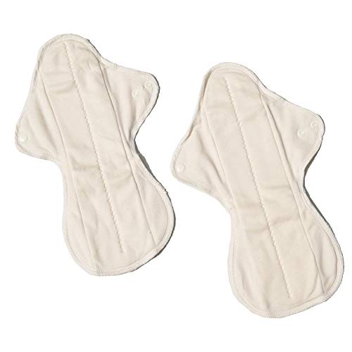 Ecofit Compresas Ecofit Maxi/Noche 2 Unds 350 g Cover