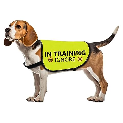 Comfortable Dog Jacket Vest for Training Cover