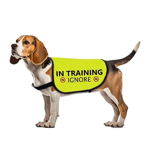 Hundejacke für Training und Spaziergänge