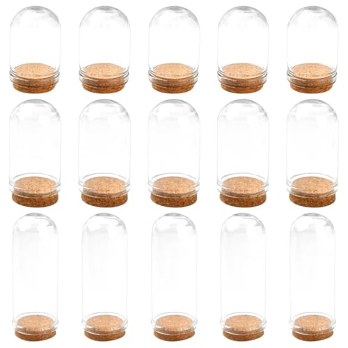 Mini cúpulas de vidrio de alta transparencia y base de madera noble para micro exhibición