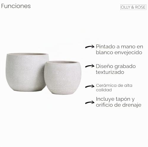 Miniatura 6 de Olly Rose Barcelona - Juego De 2 Macetas De Cerámica Para Interiores Y Exteriores Blanco