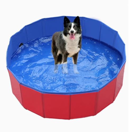 ZHXQRP Piscina per Cani Pieghevole Piscina per Animali Domestici Piscina per Esterni in PVC Vasca da Bagno per Cani Portatile con Scarico per toelettatura