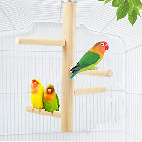 Ephoria Bird Perch Natural Wood Stand Parakeet Toys Bird Cage Perches Accessories for Cockatiels, Conures,Love Birds, Finches