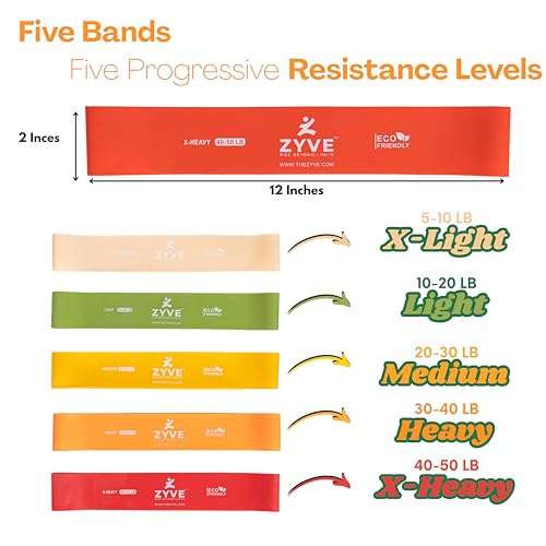 Image of Resistance Bands Set for Women & Men - 12'' Heavy Duty Natural Rubber Exercise Loop Bands for Legs,Glutes,Strength Training,Stretching,Physical Therapy- Pack of 5 with Carry Pouch