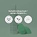 EcoTools Makeup Brush & Sponge Shampoo - Fragrance-Free Cleanser for Brushes, Sponges & Puffs, No Harsh Chemicals, Vegan & Cruelty-Free, 6 fl.oz./ 177 ml, 2 Count