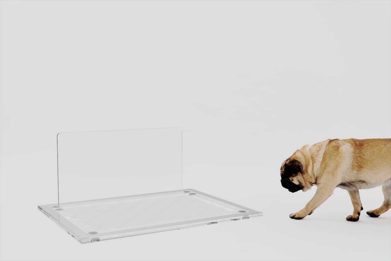 Amazon | 犬用 スタイリッシュ 「アクリルペットトイレ」 本体 (クリア