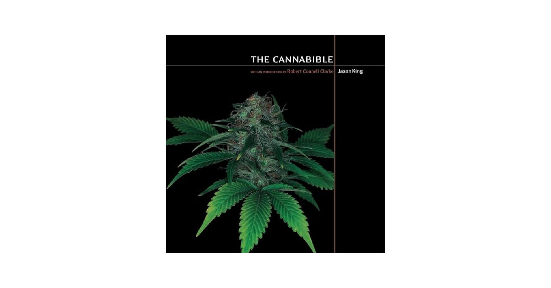 The Cannabible: King, Jason, Clarke, Robert Connell