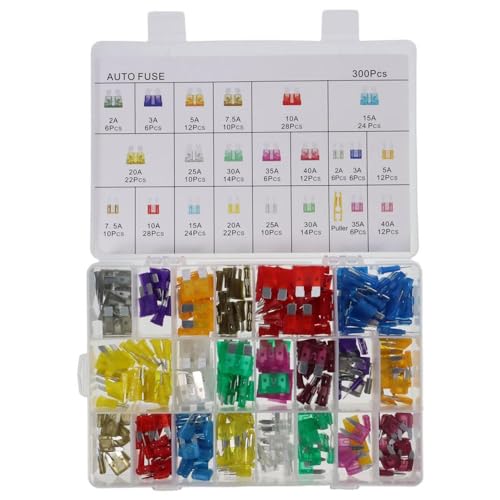 BYOBYO 300 Pcs Car Fuses Assortment Kit, Blade Fuses Kits Car Assessories Parts Fuses Replacement for Car, Vehicle(2A, 3A, 5A, 7.5A, 10A, 15A, 20A, 25A, 30A, 35A, 40A)