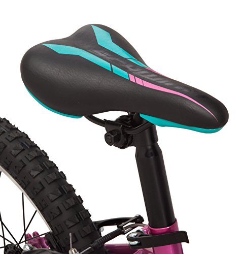 Image of Schwinn High Timber Mountain Bike, 20-Inch Wheels