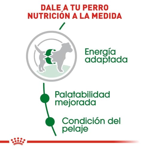 La Mejor Lista de Royal canin para comprar hoy. 2 Imagen adicional