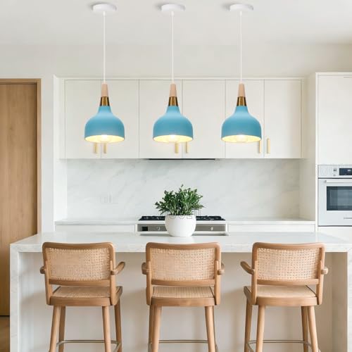 Lámpara de techo moderna E27 retro para iluminar la mesa de la cocina y el salón 2