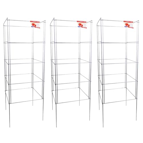 Cedar Ridge Square Foldable Tomato Cages - Heavy Duty Plant Support for Vegetable Garden, Vegetables, and Flowers - Stakes and Trellis for Climbing Plants - Made in The USA (13x40) - 3-Pack