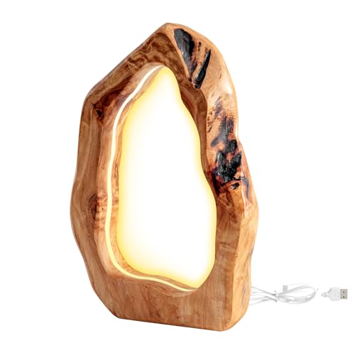 LAPTAIN LED Wood Table Lamp, Irregular Bedside Lamp with Dimmable, Creative Home Decor Table Lamp, Bedside Night Light for Bedroom, Living Room, Small