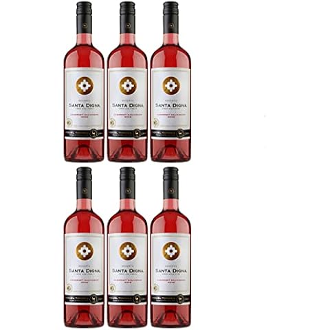 Miguel Torres Santa Digna Reserva Cabernet Sauvignon Rosé Roséwein Wein Trocken Chile I Versanel Paket Cover