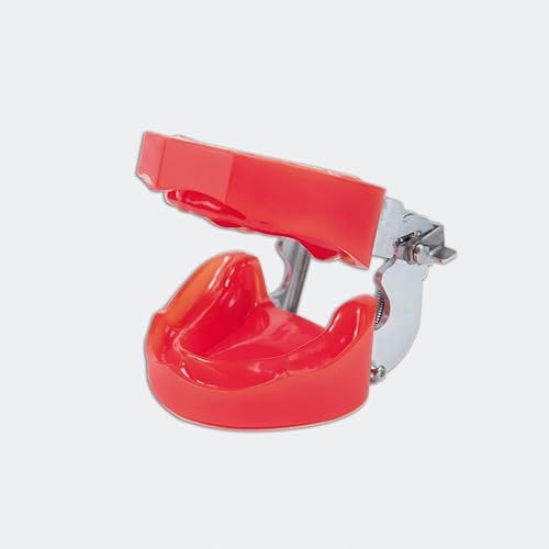 Modelo edéntulo de Typodont dental para la práctica de placa de mordida y impresión - Goma dura