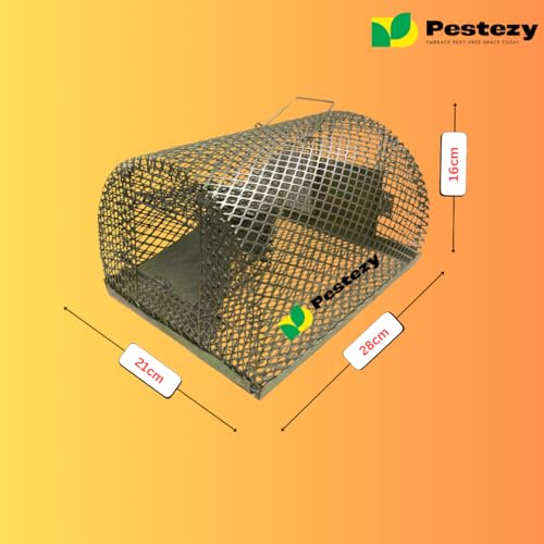 Image of Pestezy Rat Trap|Mouse Trap Cage Large Round Mouse cage |Pinjara for Continuous Catching of Big & Small Rats, Mice Ghoose Big Iron cage Strong & Durable Construction for Home, Office, Warehouse use