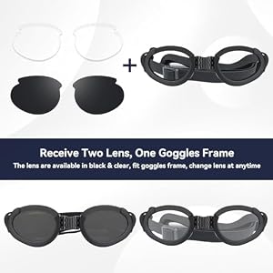 Dog Goggles with Replaceable Lens Eye Protection Dog Sunglasses for Medium to Large Breed for Outdoor Riding/Driving/Walking/Surgery Recovery Dog Goggles with Replaceable Lens Eye Protection Dog Sunglasses for Medium to Large Breed for Outdoor Riding/Driving/Walking/Surgery Recovery