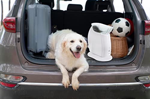 Interactive Ball Thrower for Dogs