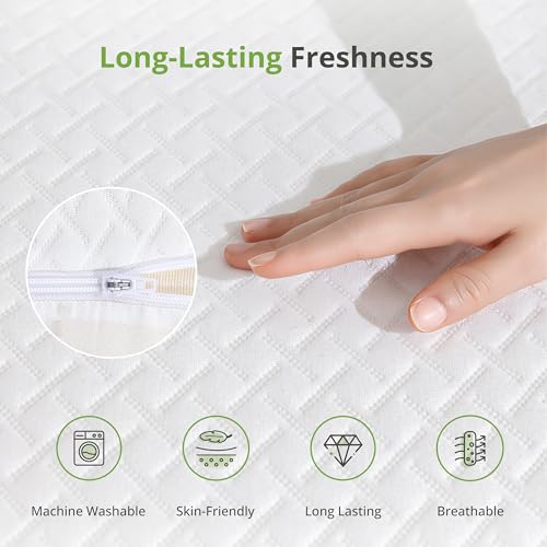 Image of EGOHOME 10 Inch Short Queen Mattress, Memory Foam Mattress in a Box with Cooling Green Tea Gel, Relieve Pressure with Medium Plush Support, CertiPUR-US Certified, 60''L x 75''W, White