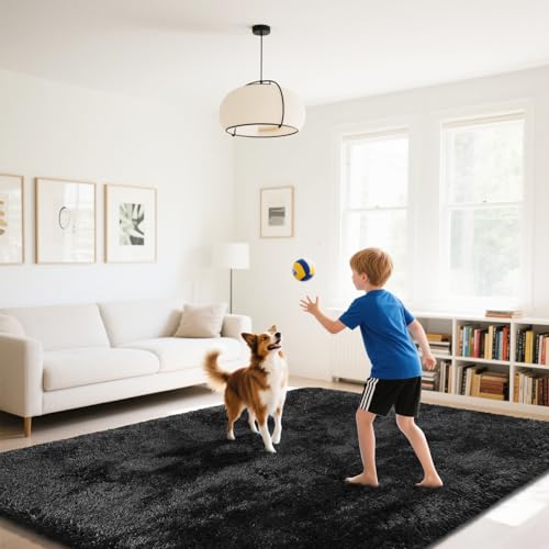 Fluffy Rug Shaggy Area Rug, Black 5x8 Area Rugs for Bedroom, Small Bedside Rug, Soft Fluffy Shaggy Entryway Throw Rugs for Living Room Bedroom Kids Room Home Decor