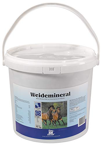 Derby Weidemineral 10kg