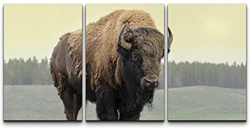 wall26 Canvas Print Wall Art Set Yellowstone National Park Grasslands Bison Animals Wildlife Photography Modern Art Rustic Scenic Nature Chic Colorful for Living Room, Bedroom, Office - 16"x24"x3