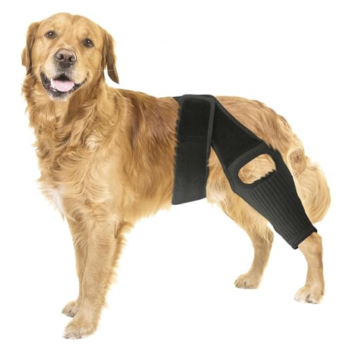 ASIAD Beinschiene für Hunde, Knieschiene für Hunde Bei Kreuzbandriss, Hüftdysplasie, Arthritis, Patellaluxation, Unterstützung Der Vorder- Und Hinterbeine, Bequem Und Verstellbar,Schwarz,L